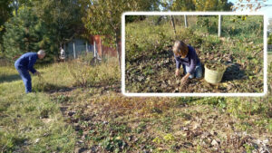 Pier en Joke bezig met het herstel van de tuin bij de Mirić-school.